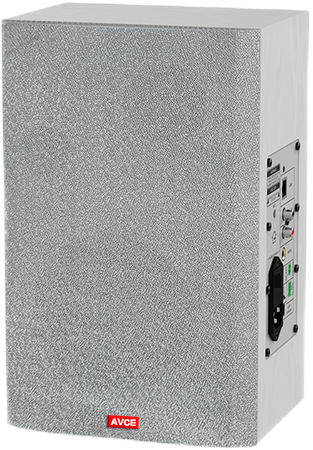 5.5寸网络壁挂木音箱